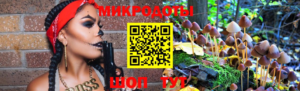 Галлюциногенные грибы Cubensis Реутов